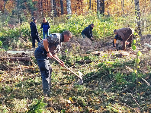 2021-10-31_Baumpflanzen_2.0_3.jpg
