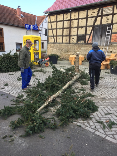 2022-02-05 Baum fällt,  Kübel schick_2.JPG