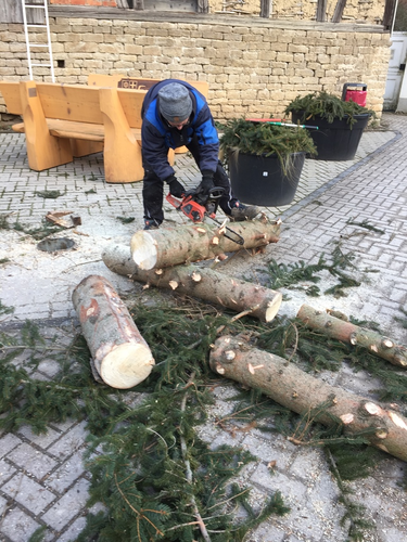 2022-02-05 Baum fällt,  Kübel schick_3.JPG